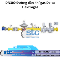 dn300-duong-dan-khi-gas delta-elektrogas.png